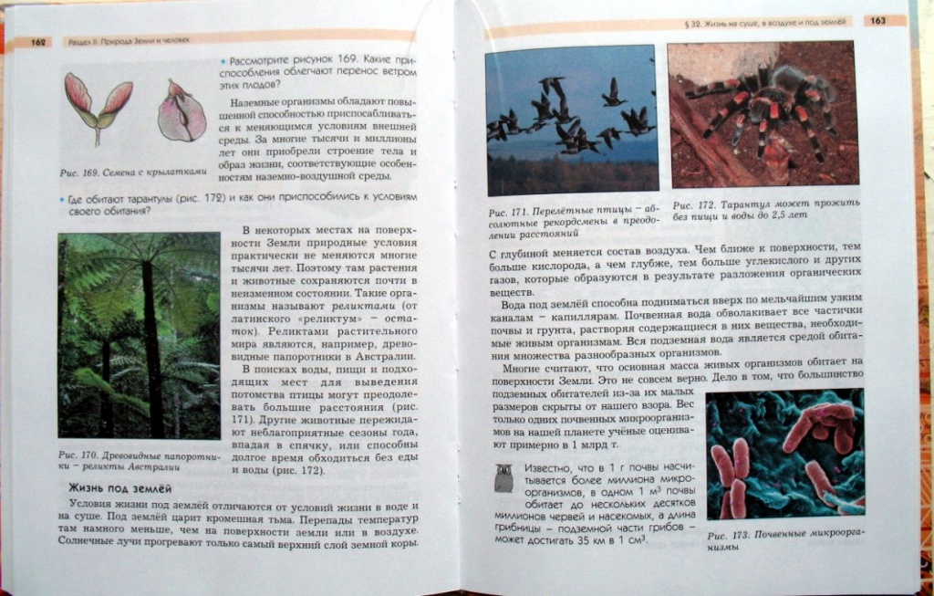 гео_1.jpg гео_1.jpg